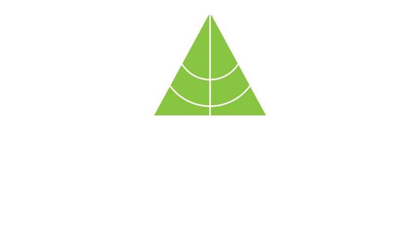 av ventures logo green white